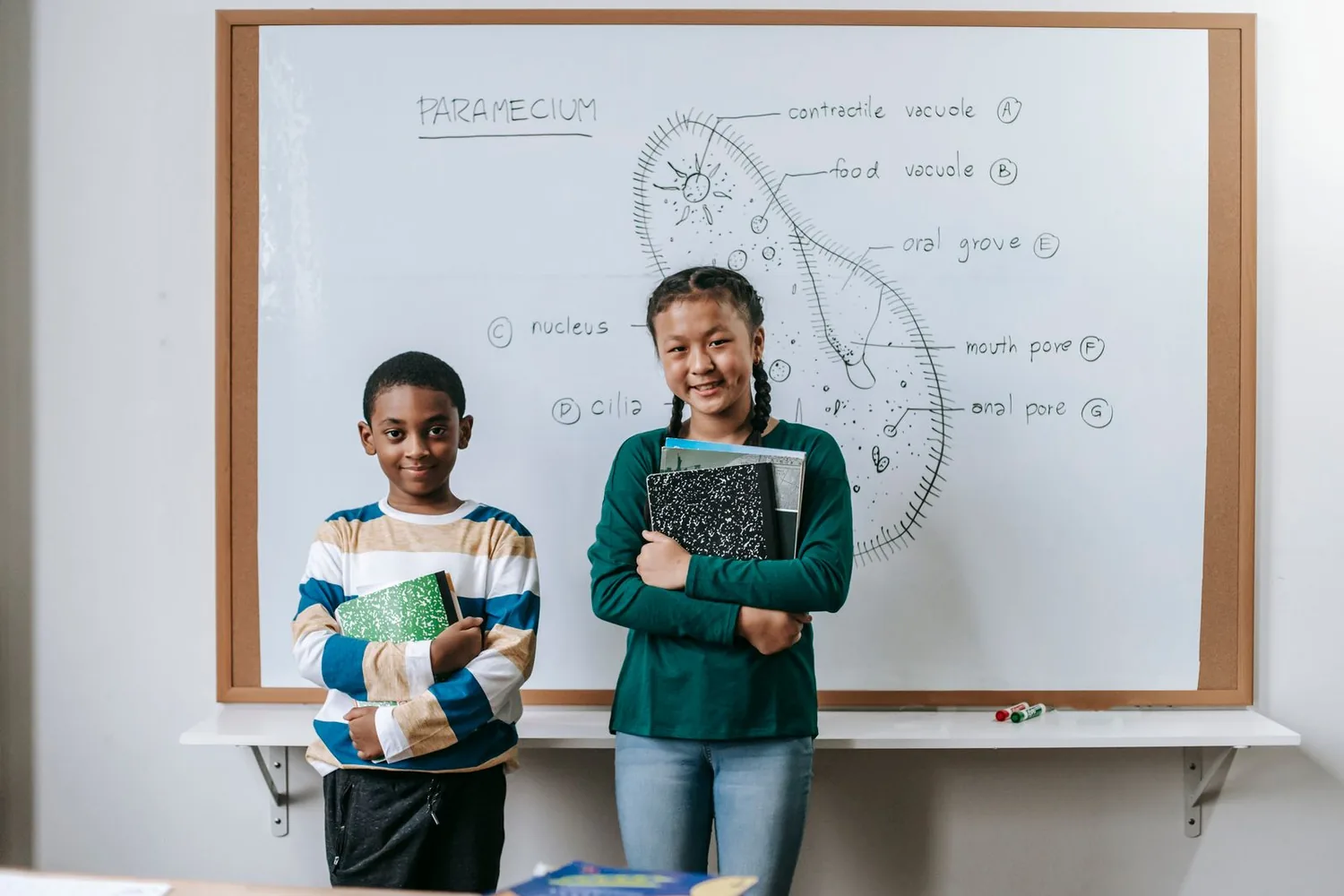 Pupils presenting a science project to their class
